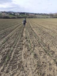 Notre priorité, une agriculture de qualité Notre priorité, une agriculture de qualité